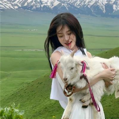 离婚官司 在线观影